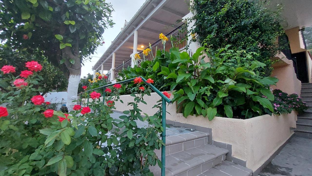 Anna Studios Zóla المظهر الخارجي الصورة